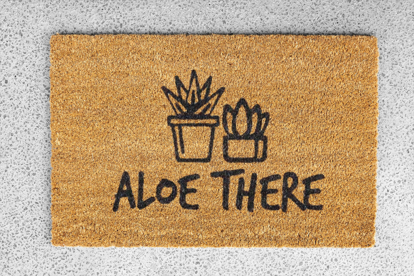 Aloe There