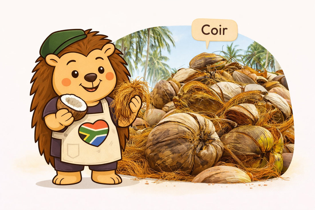 What Is Coir? Discover the Natural Fibre Behind Coco Matty™ Signature Doormats